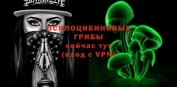 гашик Краснотурьинск