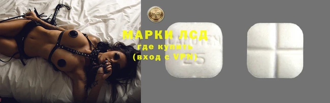 СК Краснослободск