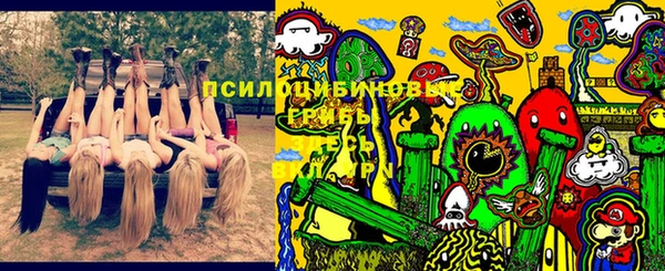 гашик Краснотурьинск