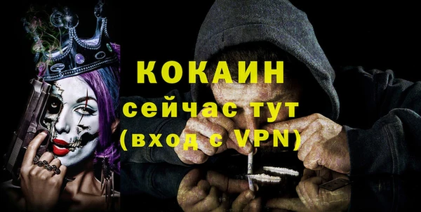 СК Краснослободск