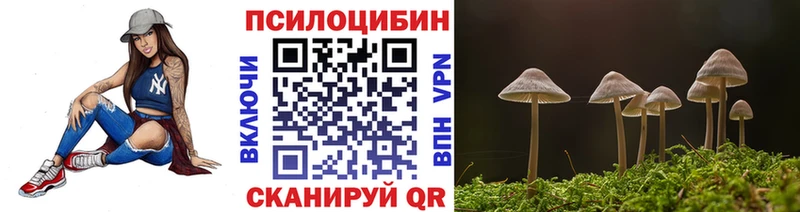 Купить где  Будённовск  Псилоцибиновые грибы GOLDEN TEACHER 