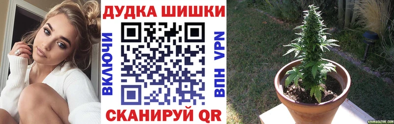 Конопля Ganja Будённовск